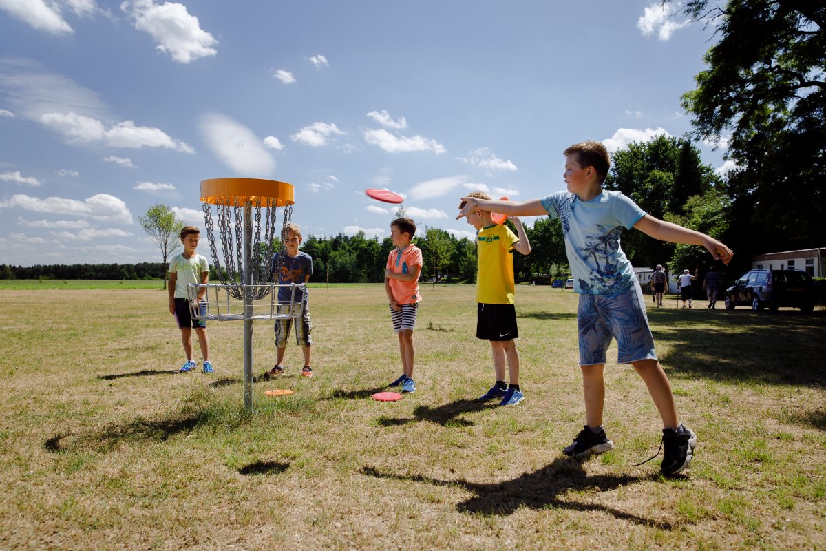 FrisbeePark RCN Flaasbloem