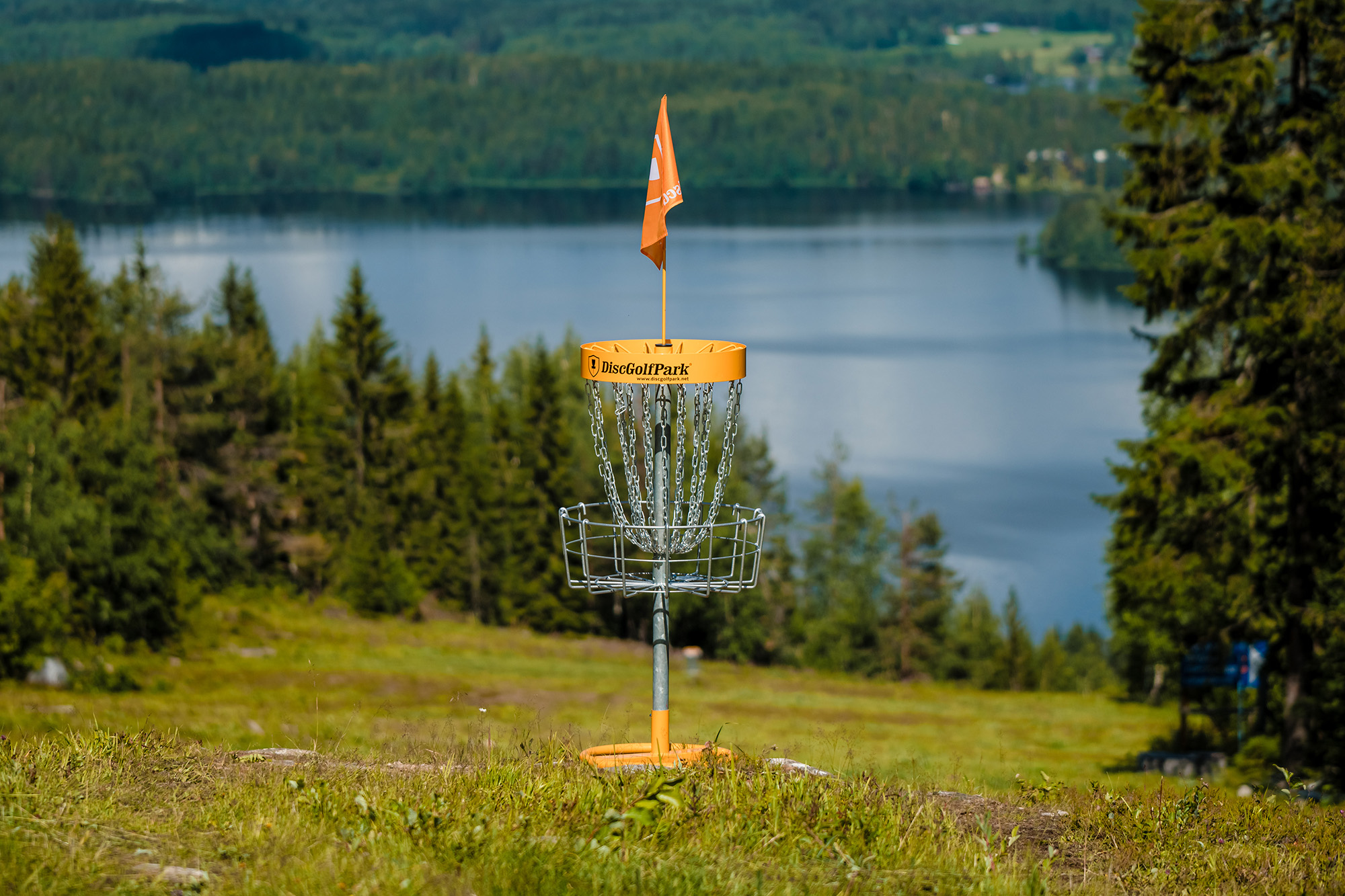 Disc Golf Course at Schifilliti Park