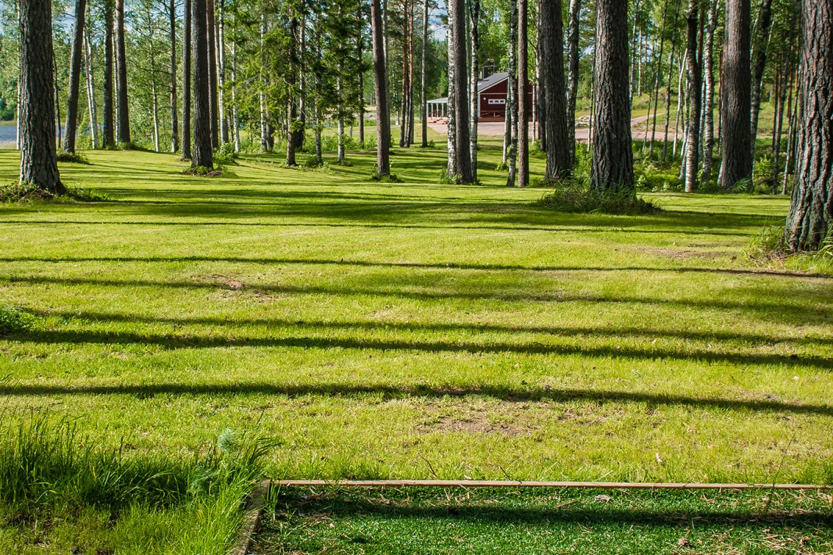 Frisbee trifft Golf: DiscGolfPark auf der FSB Messe 2023 in Köln