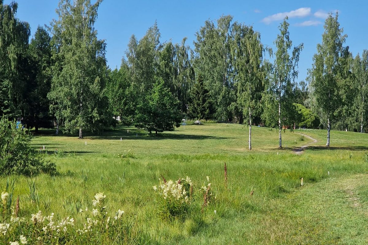 Mukkula Disc Golf Park (Finnish Championships Layout 2023)