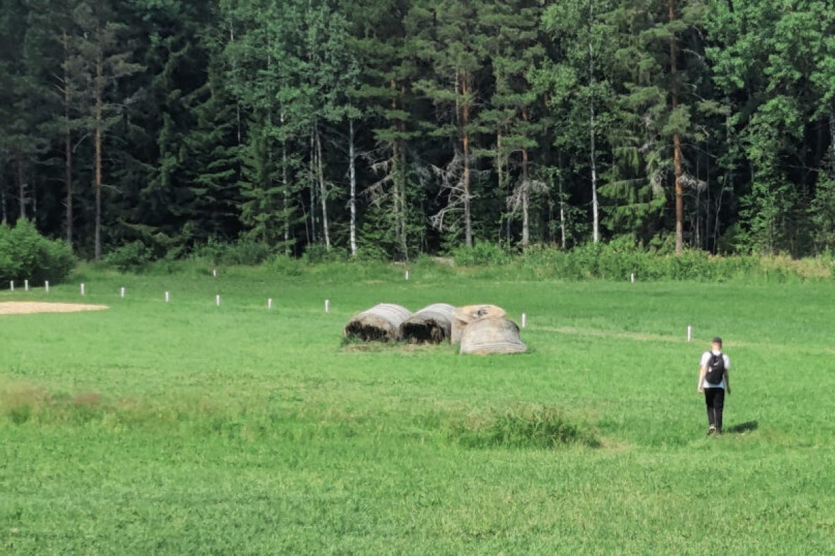 Lappi DiscGolfPark